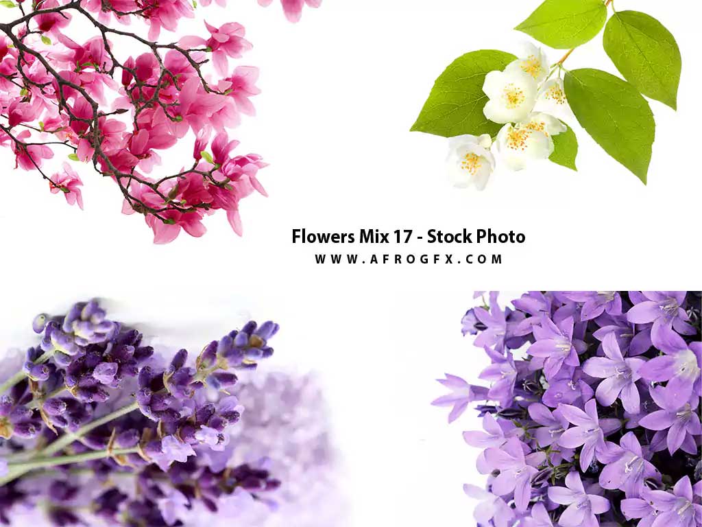Flowers Mix 17 - Stock Photo