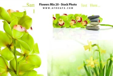 Flowers Mix 20 - Stock Photo