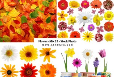 Flowers Mix 23 - Stock Photo