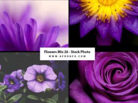 Flowers Mix 26 - Stock Photo