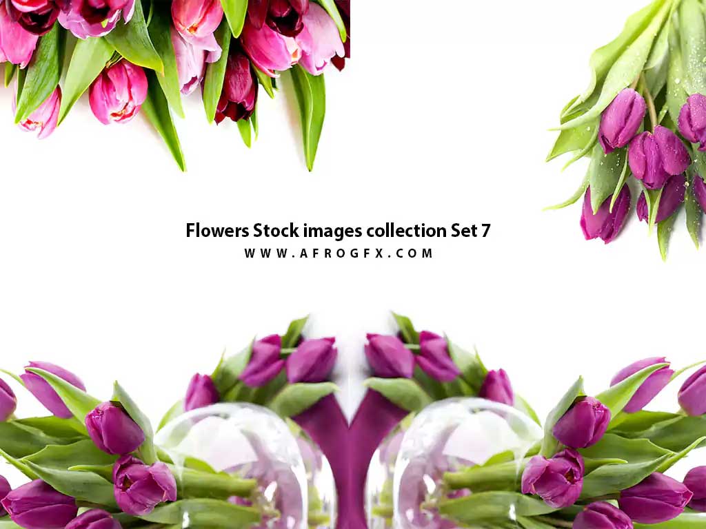 Flowers Stock images collection Set 7