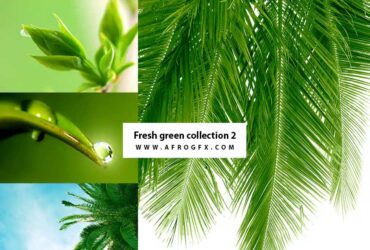 Fresh green collection 2