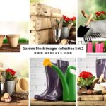 Garden Stock images collection Set 2