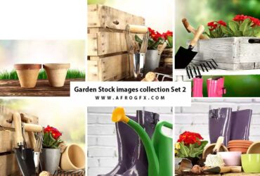 Garden Stock images collection Set 2