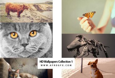 HD Wallpapers Collection 1