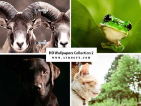 HD Wallpapers Collection 2
