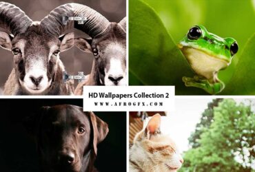 HD Wallpapers Collection 2