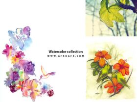 Watercolor collection