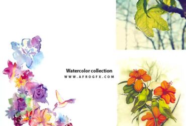 Watercolor collection