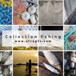 Collection fishing 25 HQ Jpeg