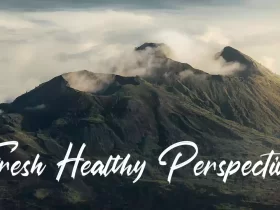 Fresh Healthy Perspectives - No Copyright Audio Library