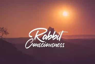 Consciousness Rabbit - No Copyright Audio Library