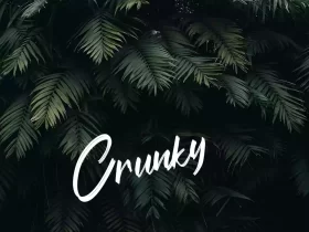 Crunky - No Copyright Audio Library