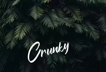 Crunky - No Copyright Audio Library