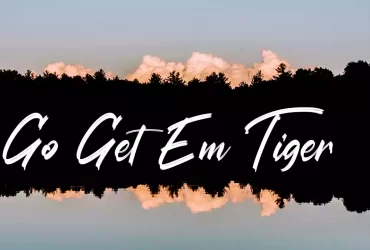 Go Get Em Tiger - No Copyright Audio Library